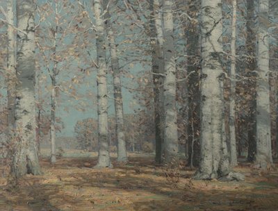 Autumn Beeches, c.1908-1915 (óleo sobre tela) de John Fabian Carlson