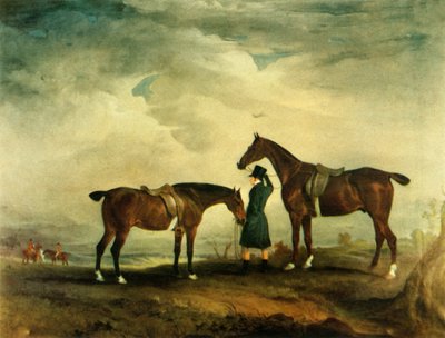 "O Caçador e o Hack": A Typical Cob