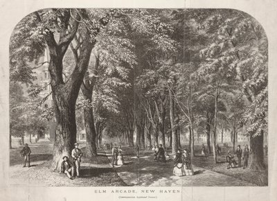 Elm Arcade View of the Green de John Filmer