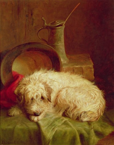 Um terrier de John Fitz Marshall