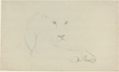 Leoa de John Flaxman