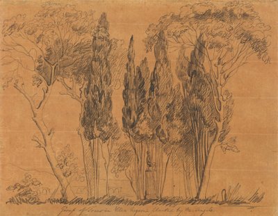 Árvores na Villa Negroni Plantadas por M. Angelo de John Flaxman