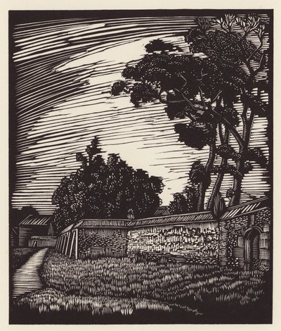 Cambridge: Muro de Peterhouse, Coe Fen (xilogravura) de John Frederick Greenwood