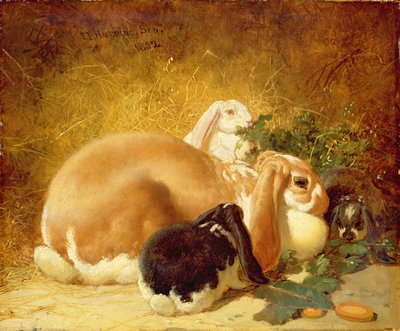 Coelhos, 1852 de John Frederick Herring Junior
