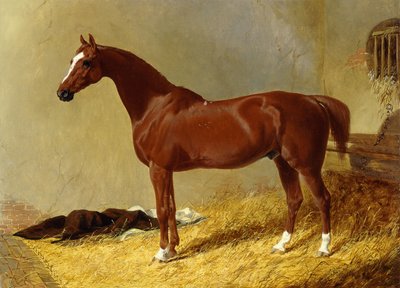 Um cavalo de corrida da baía em uma tenda, 1843 de John Frederick Herring Senior