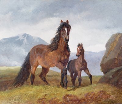 Uma égua e um potro da montanha galesa, 1854 (painel) de John Frederick Herring Senior