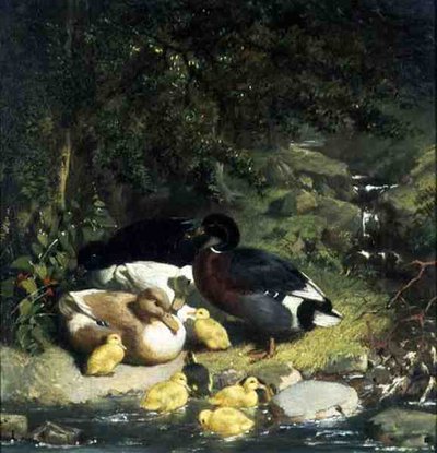 Patos e Patinhos de John Frederick Herring Senior