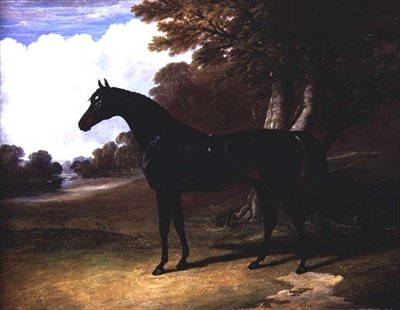 Gaucus, um cavalo louro escuro em uma paisagem arborizada (óleo sobre tela) de John Frederick Herring Senior