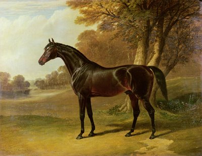 "Glauco" de John Frederick Herring Senior