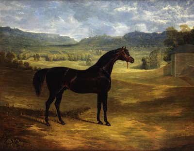 Jack Spigot, um cavalo de corrida Dark Bay em um piquete no Bolton Hall, 1824 de John Frederick Herring Senior