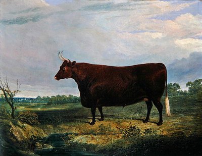 Retrato de um Touro Castanho de John Frederick Herring Senior