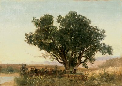 The Front Range, Colorado de John Frederick Kensett