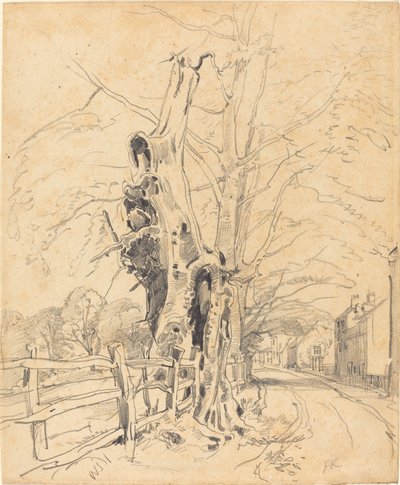 Árvores por uma cerca de trilho de John Frederick Kensett