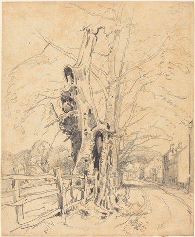 Árvores junto a uma vedação de ripas de John Frederick Kensett