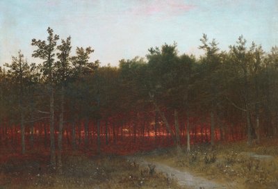 Crepúsculo nos cedros em Darien, Connecticut de John Frederick Kensett