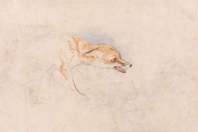 Estudo de uma raposa agachada, virada para a direita de John Frederick Lewis
