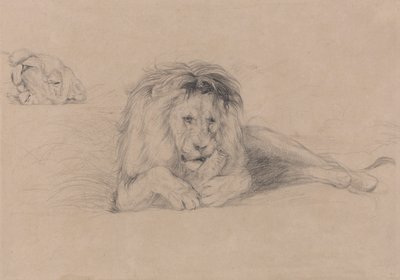 Estudo de um Leão e Estudo de uma Cabeça de Leão de John Frederick Lewis