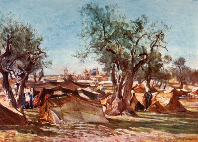 Acampamento beduíno fora do muro norte de Jerusalém, 1902. de John Fulleylove