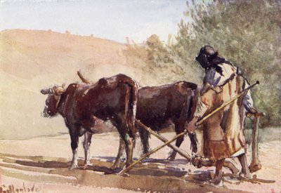 Lavoura no Monte das Oliveiras (cor litho) de John Fulleylove