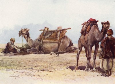 Estudo de Camelos e Atendentes de John Fulleylove