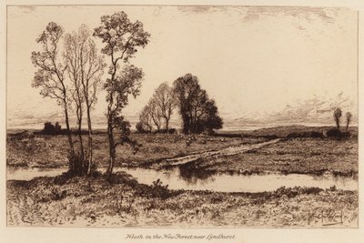 Charneca na Nova Floresta, perto de Lyndhurst (gravura) de John Fullwood
