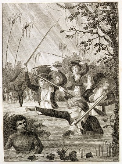 Marchar por um Pântano ou Pântano na Terra Firma de John Gabriel (after) Stedman