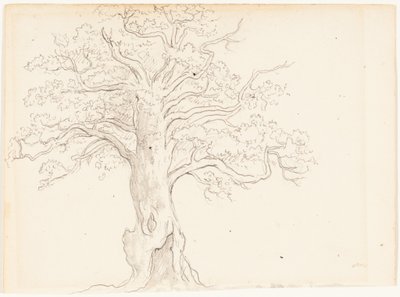  de John Glover
