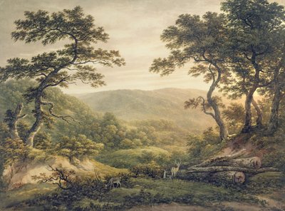 Needlewood Forest, Hampshire (aquarela sobre papel) de John Glover