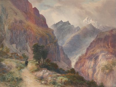 Nos Alpes do Sul de John Gully