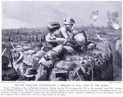 Hamilton privado construindo um abrigo em plena vista dos turcos nas trincheiras Lone Pine na Península de Gallipoli em agosto de 1915 de John Harris Valda