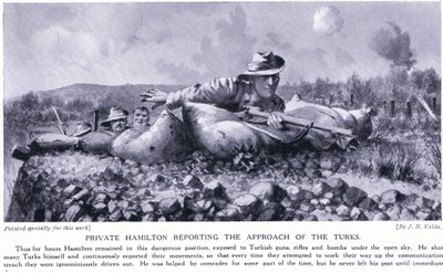 Private Hamilton relatando a aproximação dos Turcos da Península de Gallipoli em agosto de 1915 de John Harris Valda