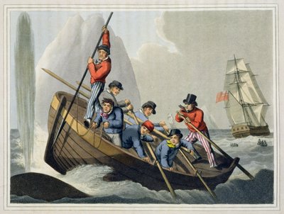 Barco de um navio que ataca uma baleia, gravado por Matthew Dubourg (fl.1785-1820), publicado por Edward Orme, 1813 de John Heaviside Clark
