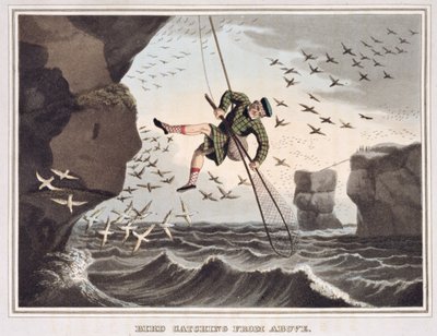 Pássaro pegando de cima, gravado por Matthew Dubourg (fl.1785-1820), publicado por Edward Orme, 1813 de John Heaviside Clark