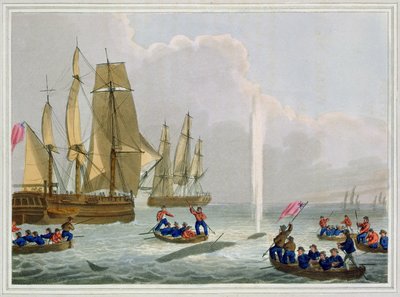 Barcos Aproximando uma Baleia, gravada por Matthew Dubourg (fl.1785-1820), publicada por Edward Orme, 1813 de John Heaviside Clark