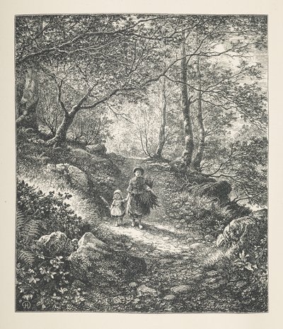 Placa 26. Caminhando por uma madeira, de 