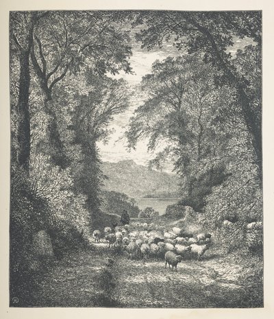 Placa 4. Ovelhas a serem conduzidas por um pastor, ao longo de um caminho. Imagens da Natureza. Uma série de trinta ilustrações originais desenhadas em madeira por J. H. Dell, e gravadas por R. Paterson. John Henry Dell de John Henry Dell