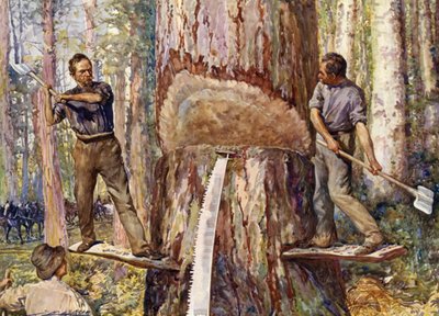 Lumbermen cortando madeira (cor litho) de John Henry Frederick (after) Bacon