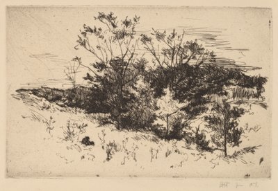 Outono Avondale de John Henry Twachtman