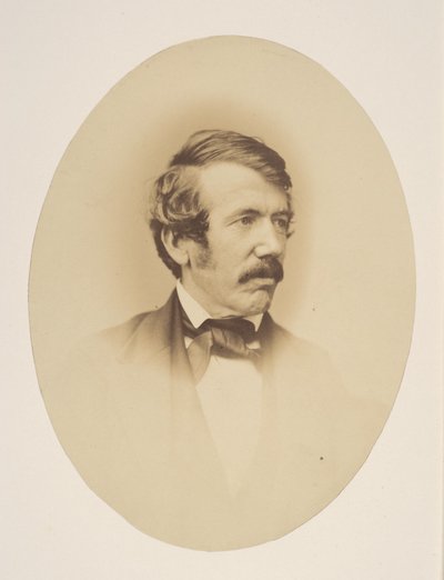 Dr. Livingstone de John Jabez Edwin Mayall