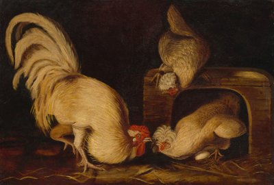 Aves de curral de John James Audubon