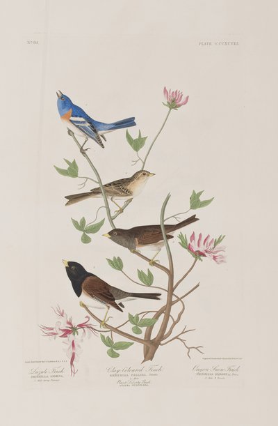 Ilustração de 