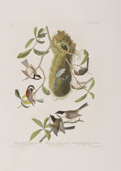 Ilustração de 