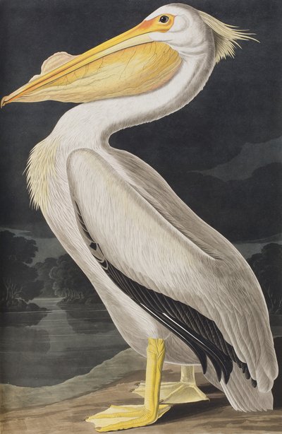 Ilustração de 