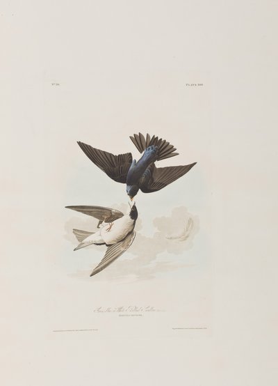 Ilustração de 