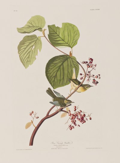 Ilustração de 