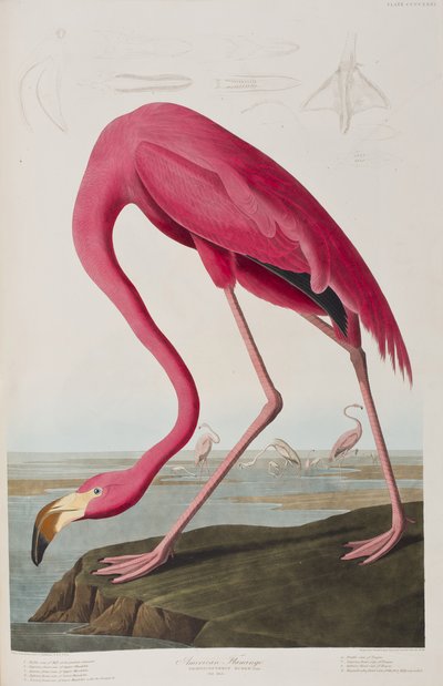 Ilustração de 