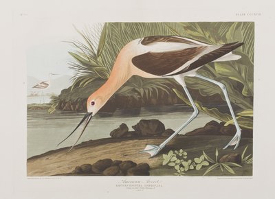 Ilustração de 