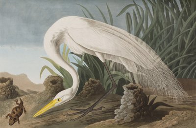 Ilustração de 