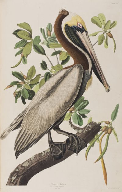 Ilustração de 