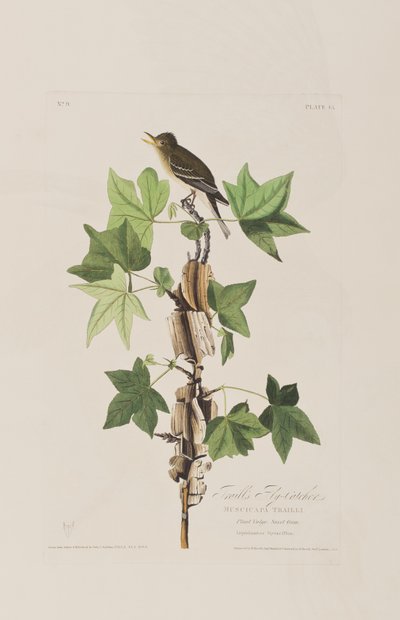 Ilustração de 